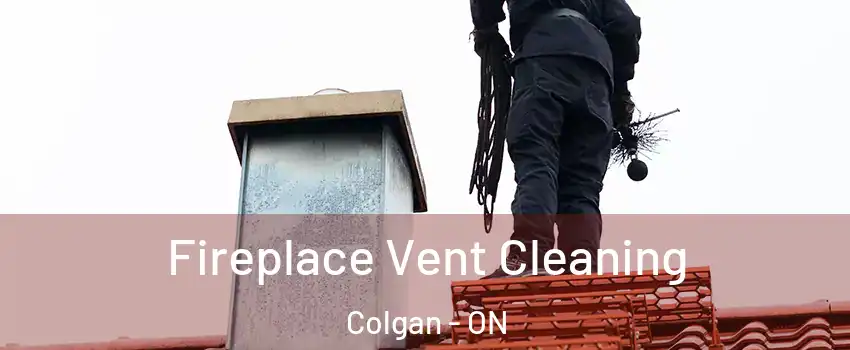  Fireplace Vent Cleaning Colgan - ON