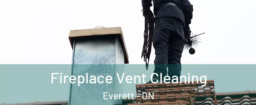  Fireplace Vent Cleaning Everett - ON
