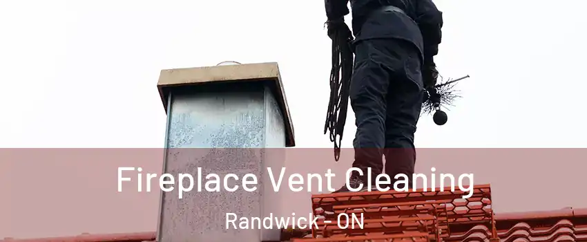  Fireplace Vent Cleaning Randwick - ON