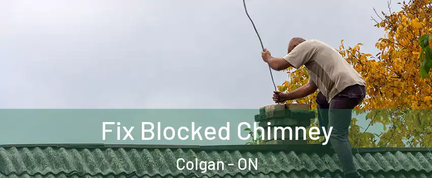  Fix Blocked Chimney Colgan - ON