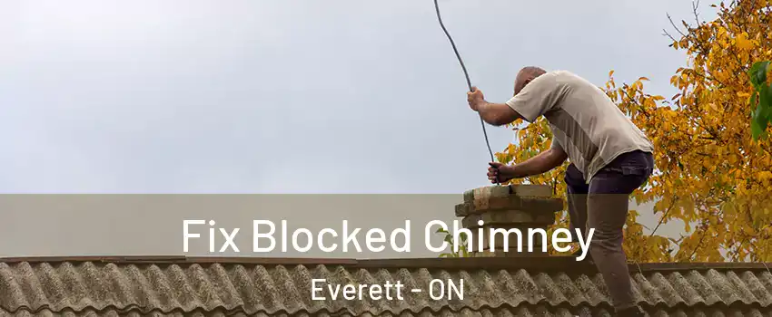  Fix Blocked Chimney Everett - ON