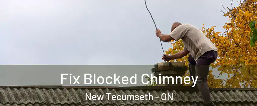  Fix Blocked Chimney New Tecumseth - ON