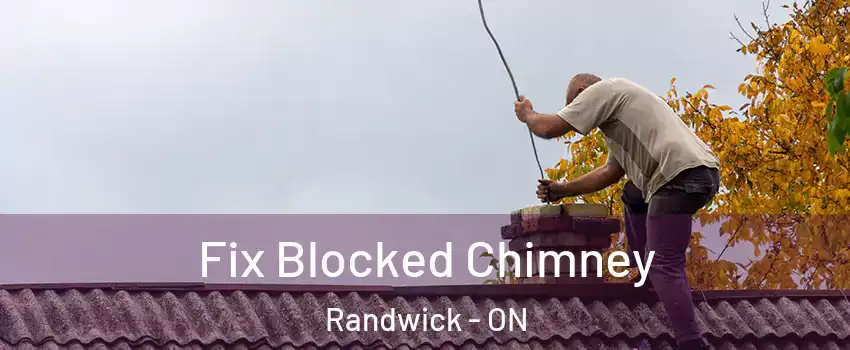  Fix Blocked Chimney Randwick - ON