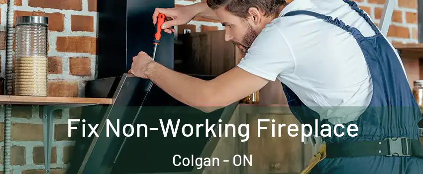  Fix Non-Working Fireplace Colgan - ON