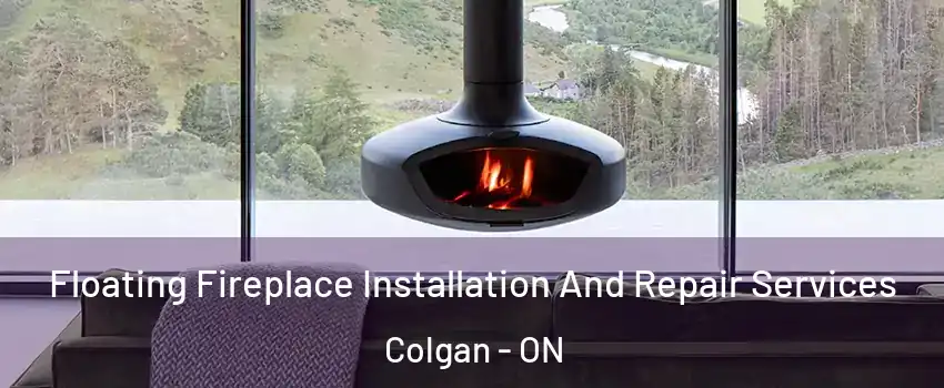  Floating Fireplace Installation And Repair Services Colgan - ON