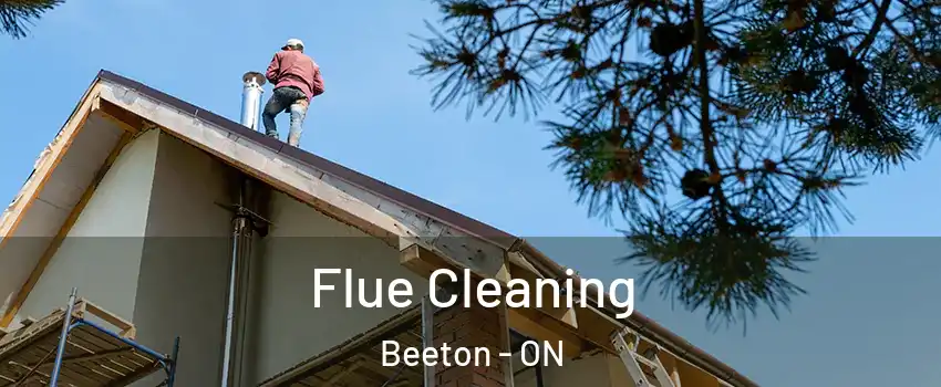  Flue Cleaning Beeton - ON