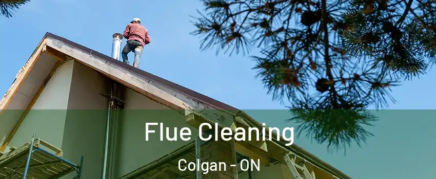  Flue Cleaning Colgan - ON