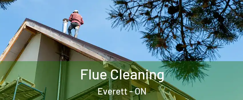  Flue Cleaning Everett - ON