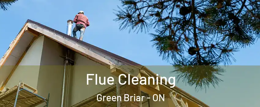  Flue Cleaning Green Briar - ON