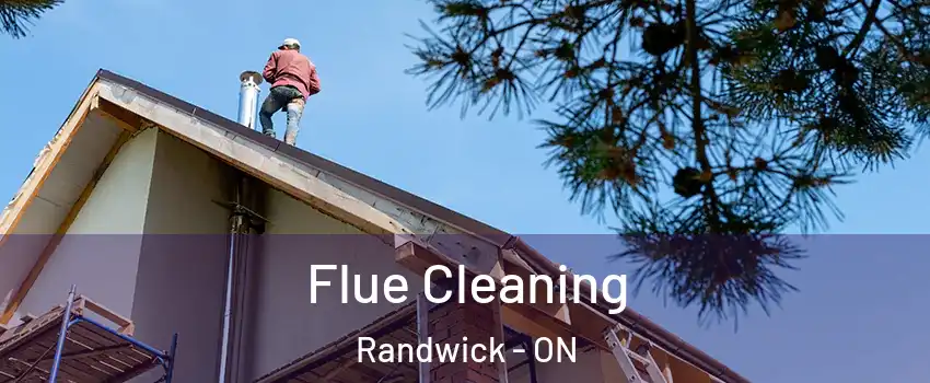  Flue Cleaning Randwick - ON