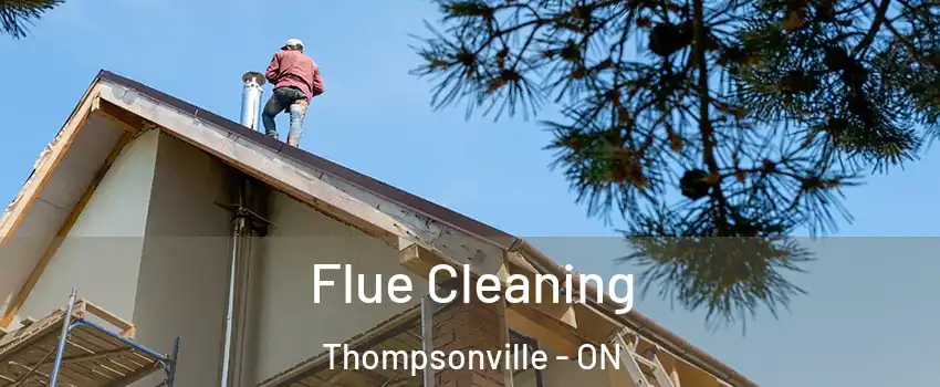  Flue Cleaning Thompsonville - ON