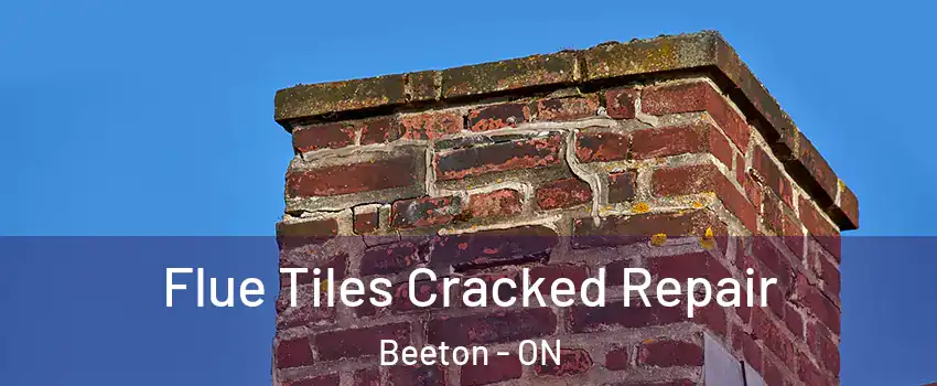  Flue Tiles Cracked Repair Beeton - ON
