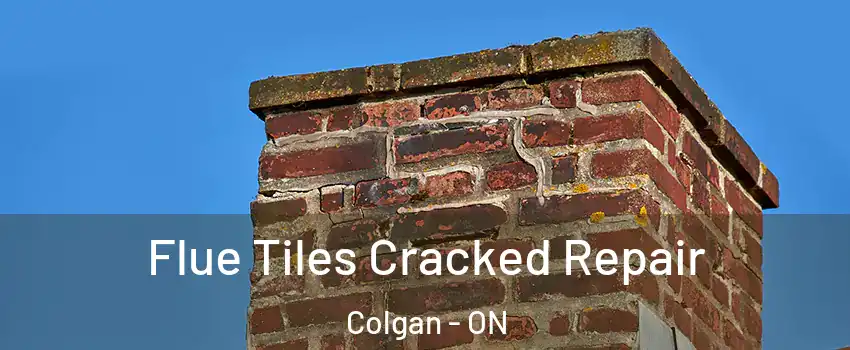  Flue Tiles Cracked Repair Colgan - ON