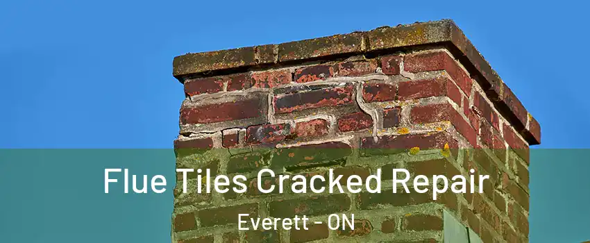  Flue Tiles Cracked Repair Everett - ON