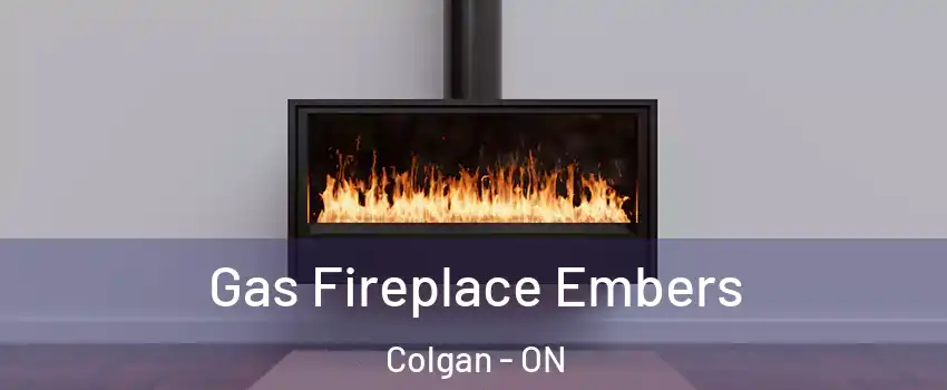  Gas Fireplace Embers Colgan - ON