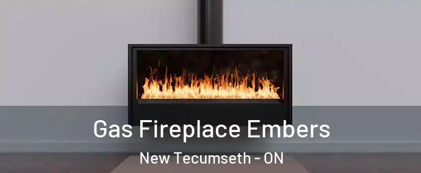  Gas Fireplace Embers New Tecumseth - ON