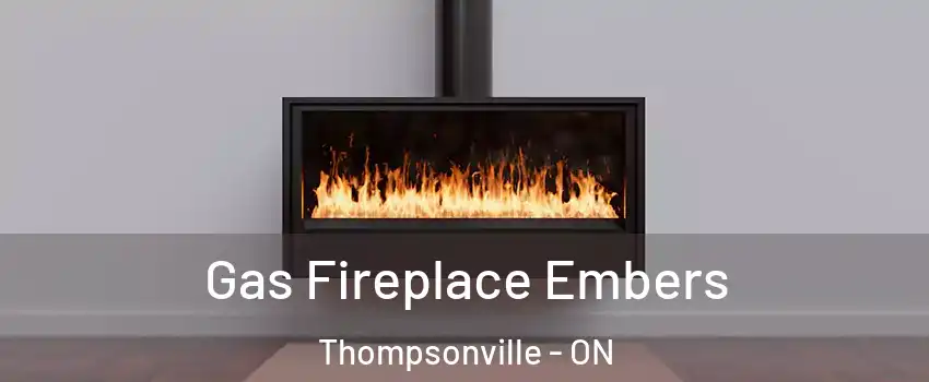  Gas Fireplace Embers Thompsonville - ON
