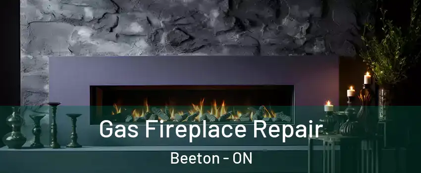 Gas Fireplace Repair Beeton - ON