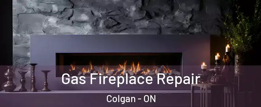  Gas Fireplace Repair Colgan - ON