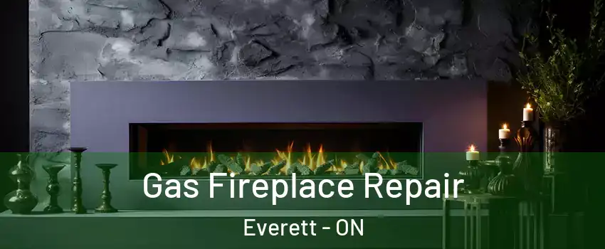  Gas Fireplace Repair Everett - ON
