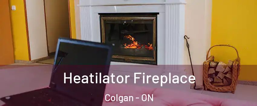  Heatilator Fireplace Colgan - ON