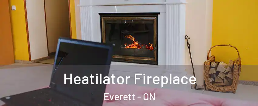  Heatilator Fireplace Everett - ON