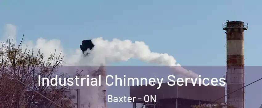  Industrial Chimney Services Baxter - ON