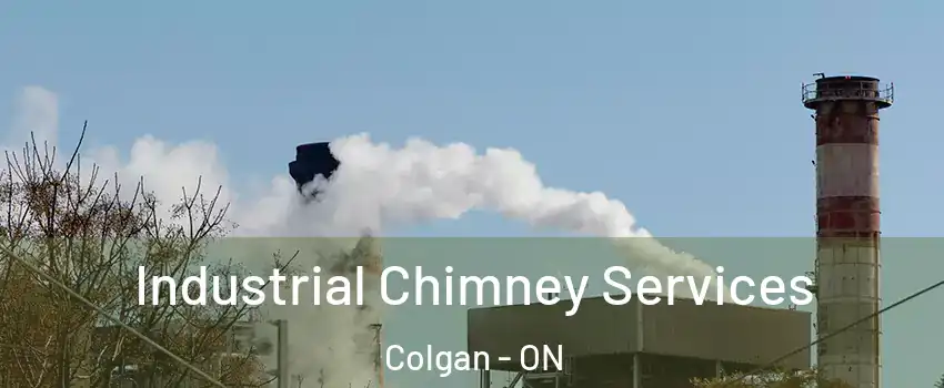  Industrial Chimney Services Colgan - ON