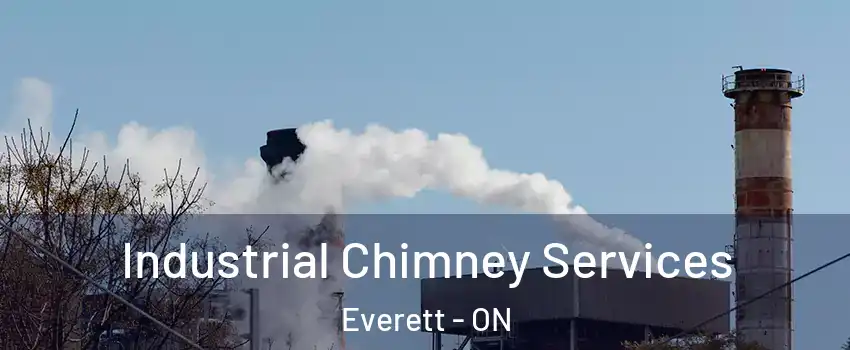  Industrial Chimney Services Everett - ON