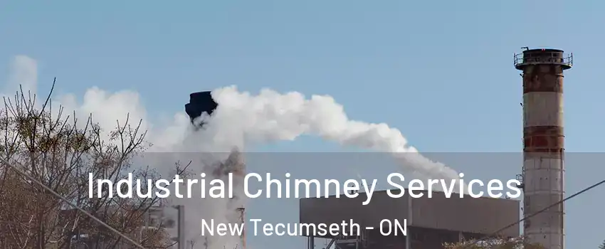  Industrial Chimney Services New Tecumseth - ON