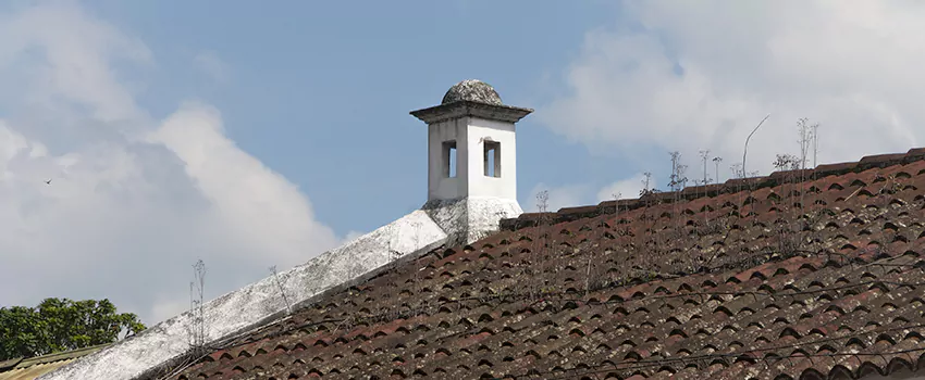 Wind-Resistant Chimney Caps Installation and Repair Services in Green Briar, Ontario