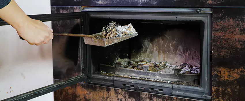 Wood Burning Chimney Odor Removal in Green Briar, Ontario