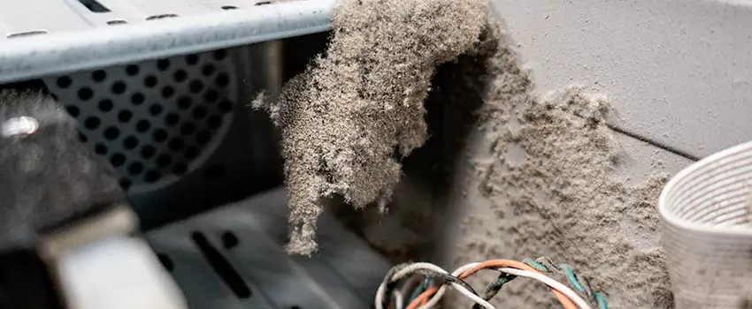 Clogged Dryer Vent Lint Cleaning in Green Briar, Ontario