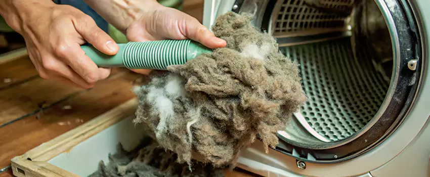 Best Dryer Lint Removal Company in Green Briar, Ontario