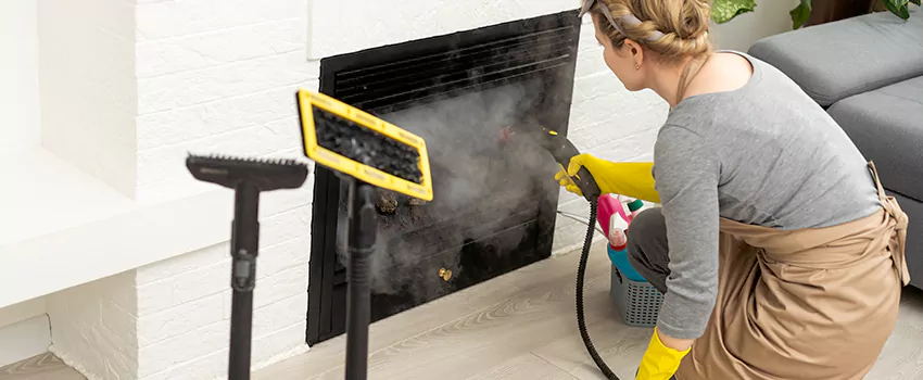 Fireplace Doors Cleaning in Green Briar, Ontario