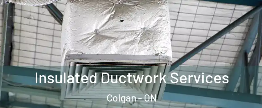  Insulated Ductwork Services Colgan - ON