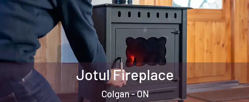  Jotul Fireplace Colgan - ON