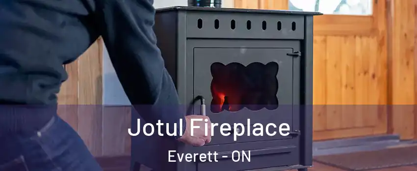  Jotul Fireplace Everett - ON