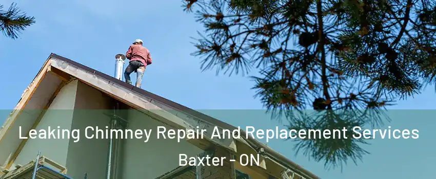  Leaking Chimney Repair And Replacement Services Baxter - ON