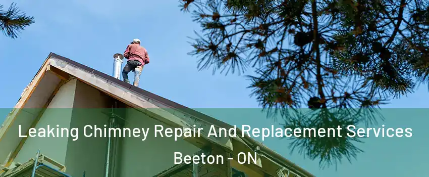 Leaking Chimney Repair And Replacement Services Beeton - ON