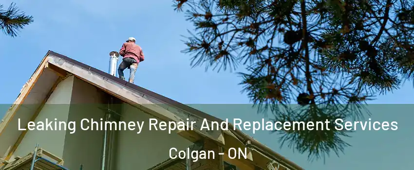  Leaking Chimney Repair And Replacement Services Colgan - ON