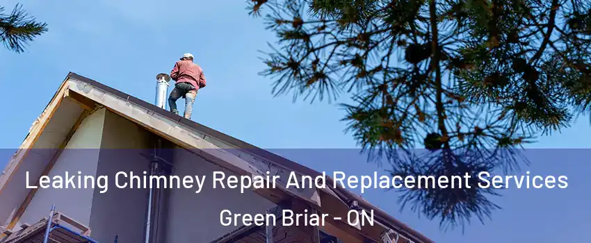  Leaking Chimney Repair And Replacement Services Green Briar - ON