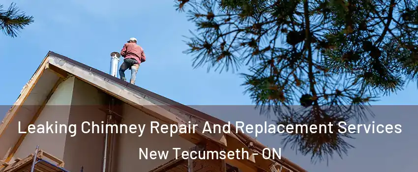  Leaking Chimney Repair And Replacement Services New Tecumseth - ON