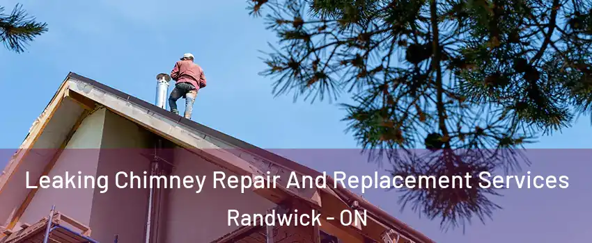  Leaking Chimney Repair And Replacement Services Randwick - ON