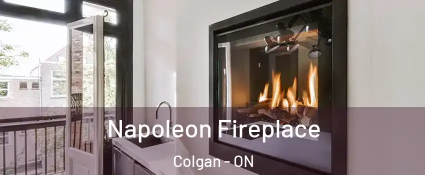 Napoleon Fireplace Colgan - ON