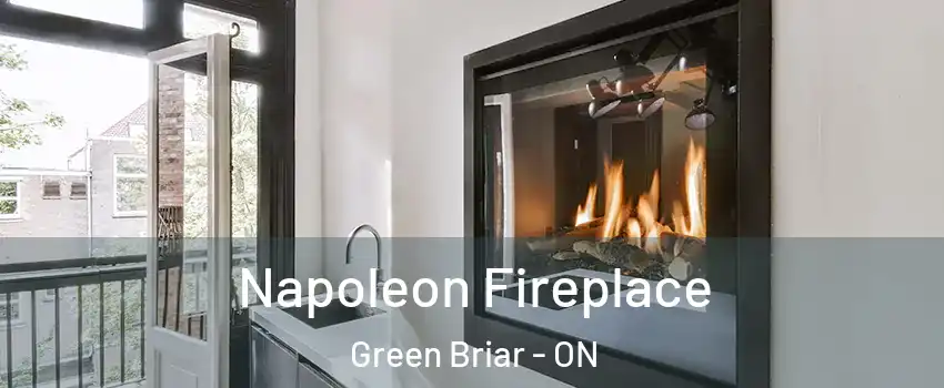  Napoleon Fireplace Green Briar - ON
