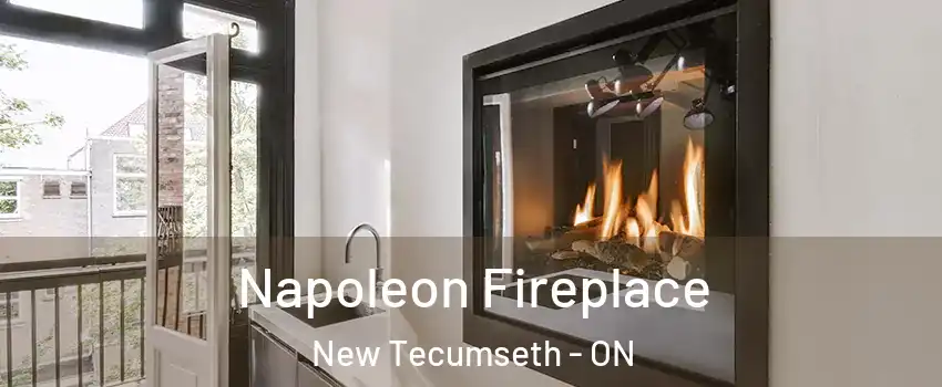  Napoleon Fireplace New Tecumseth - ON