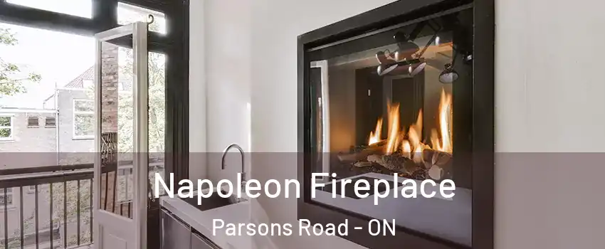  Napoleon Fireplace Parsons Road - ON