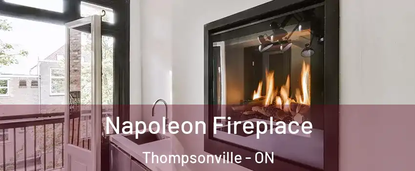  Napoleon Fireplace Thompsonville - ON