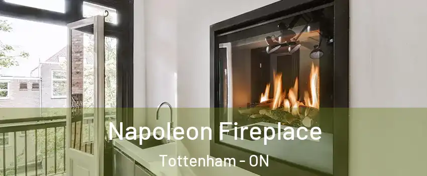  Napoleon Fireplace Tottenham - ON